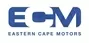 Ecm Logo Blue